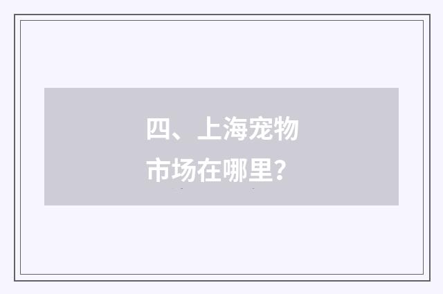 四、上海宠物市场在哪里？