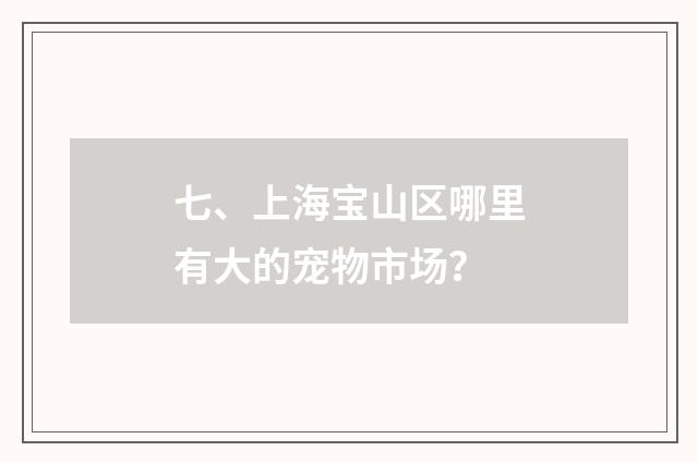 七、上海宝山区哪里有大的宠物市场?
