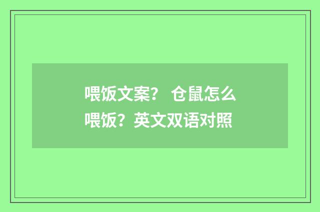 喂饭文案? 仓鼠怎么喂饭?英文双语对照