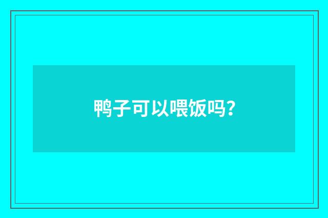 鸭子可以喂饭吗?
