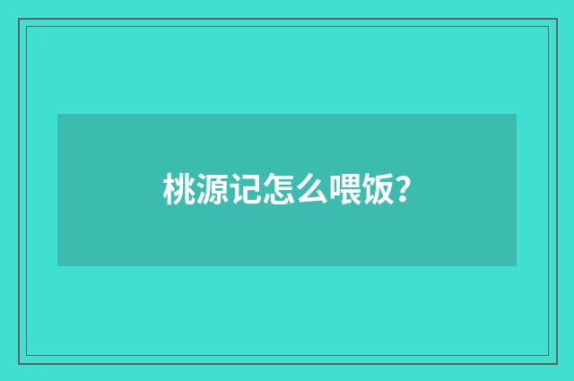桃源记怎么喂饭?