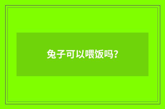 兔子可以喂饭吗?