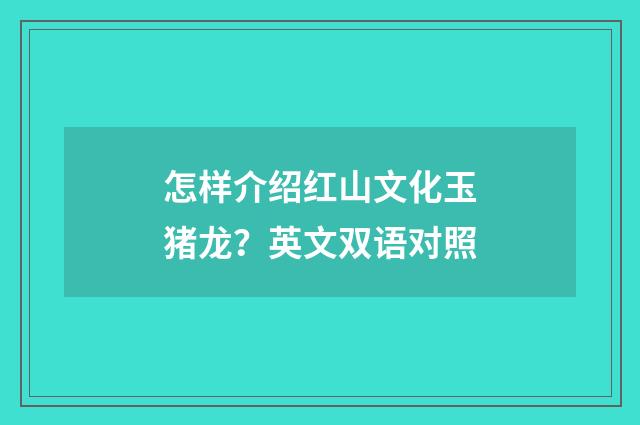 怎样介绍红山文化玉猪龙?英文双语对照