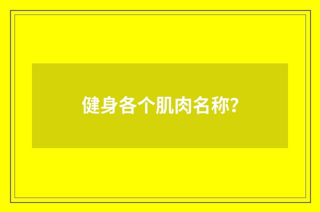 健身各个肌肉名称？
