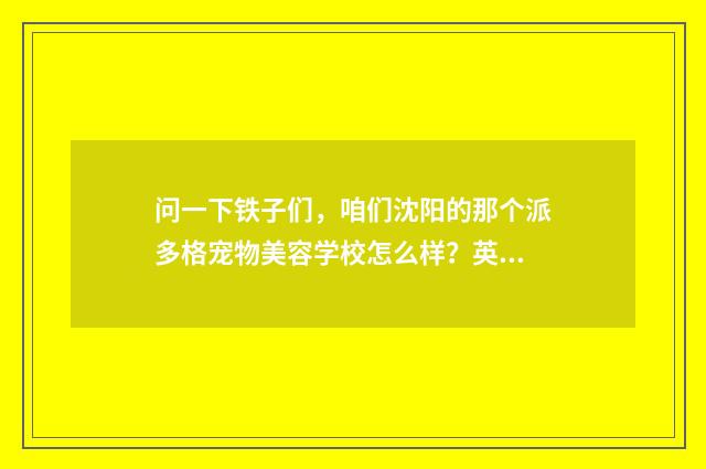 问一下铁子们，咱们沈阳的那个派多格宠物美容学校怎么样？英文双语对照