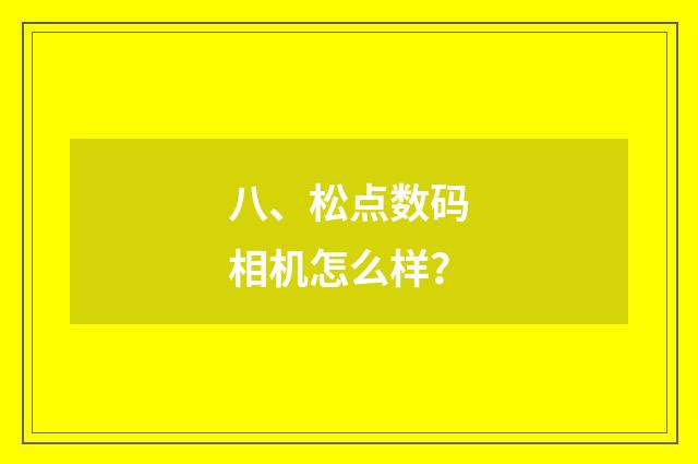 八、松点数码相机怎么样？
