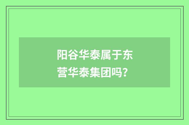 阳谷华泰属于东营华泰集团吗?