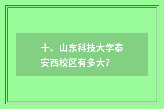 十、山东科技大学泰安西校区有多大?