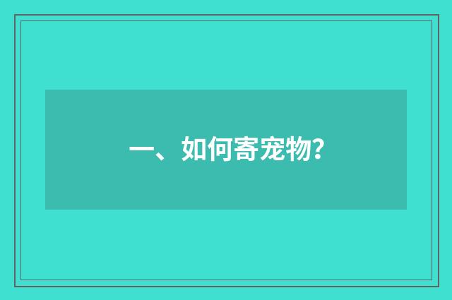一、如何寄宠物?