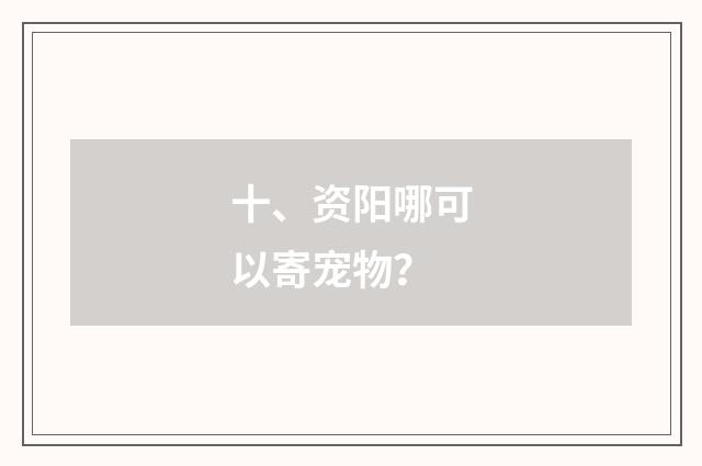 十、资阳哪可以寄宠物?