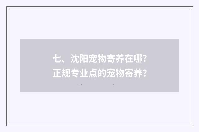 七、沈阳宠物寄养在哪?正规专业点的宠物寄养?