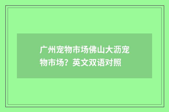 广州宠物市场佛山大沥宠物市场？英文双语对照