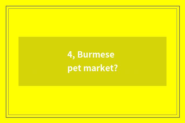 4, Burmese pet market?