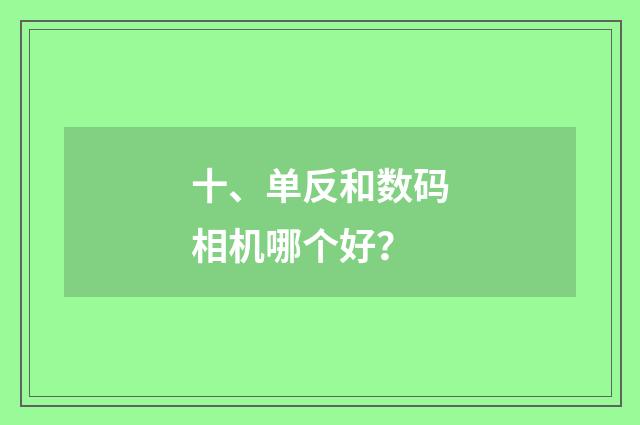 十、单反和数码相机哪个好？