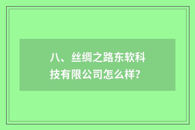 八、丝绸之路东软科技有限公司怎么样?