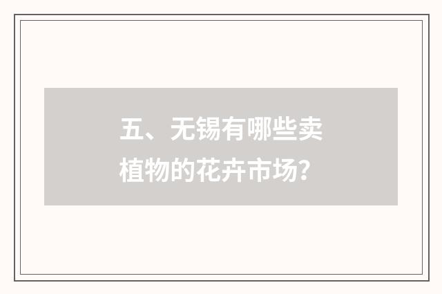 五、无锡有哪些卖植物的花卉市场？