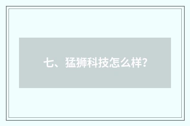 七、猛狮科技怎么样?