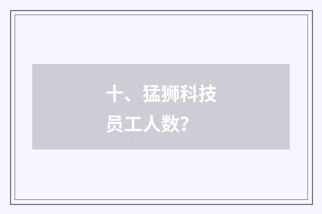 十、猛狮科技员工人数?