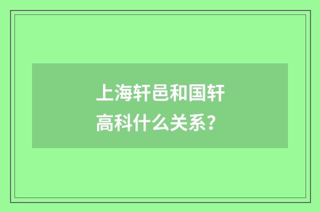 上海轩邑和国轩高科什么关系？