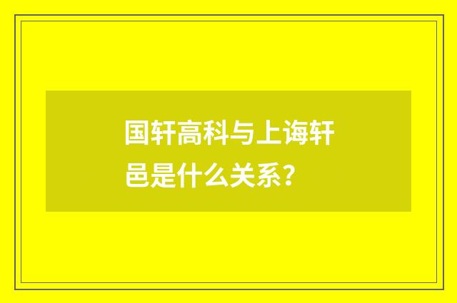 国轩高科与上诲轩邑是什么关系?