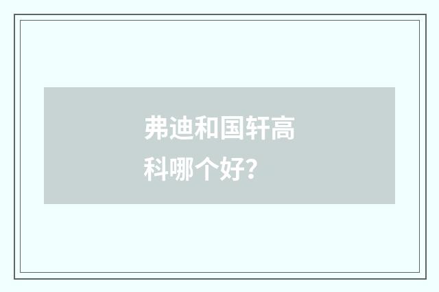 弗迪和国轩高科哪个好?