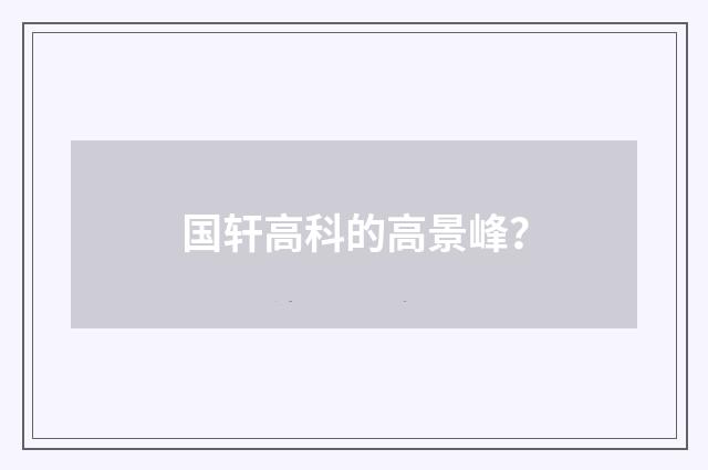 国轩高科的高景峰?