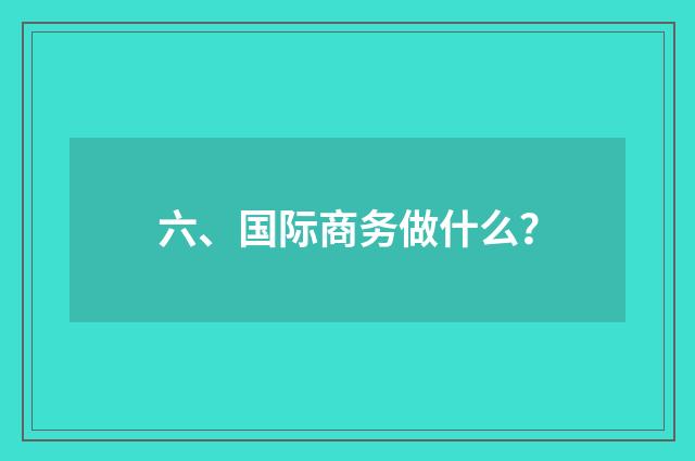 六、国际商务做什么？