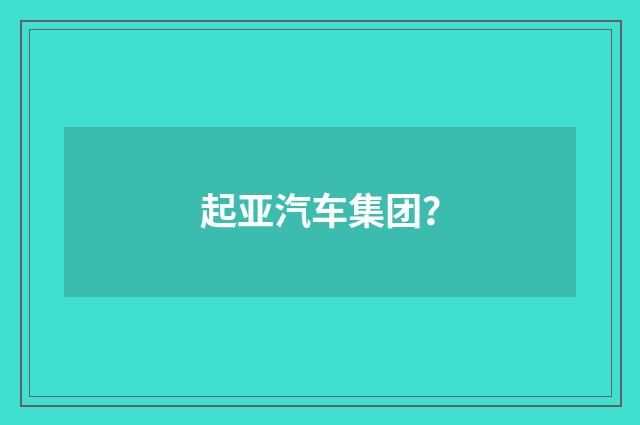 起亚汽车集团?