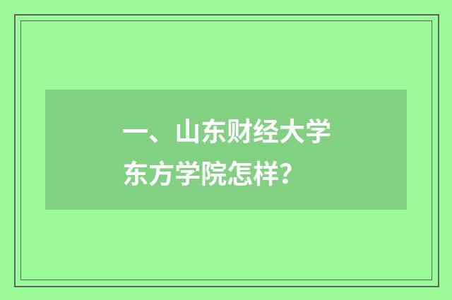 一、山东财经大学东方学院怎样?