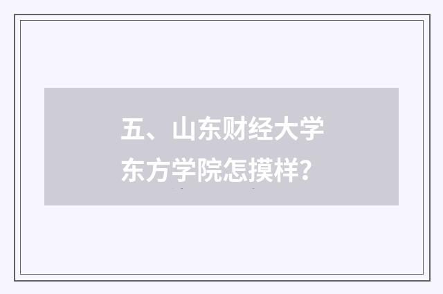 五、山东财经大学东方学院怎摸样？