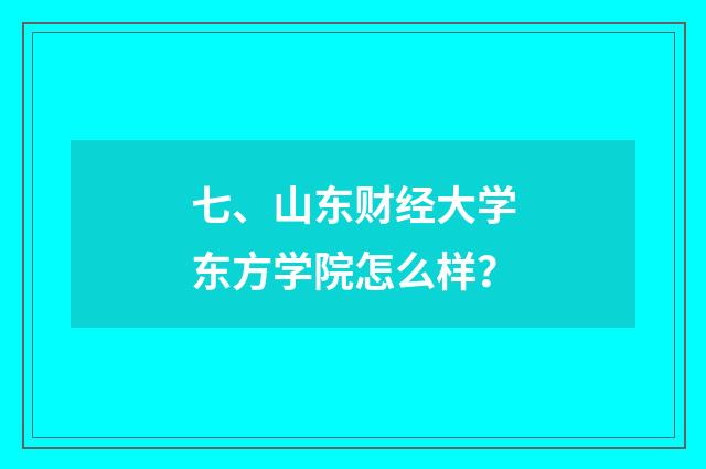 七、山东财经大学东方学院怎么样？