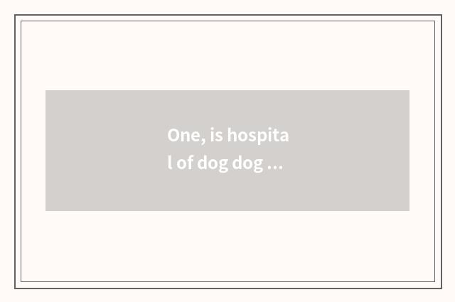 One, is hospital of dog dog pet online and free seek advice?