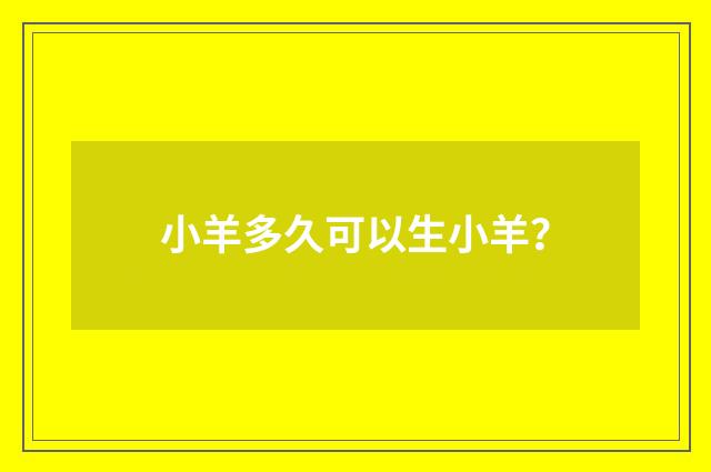 小羊多久可以生小羊?