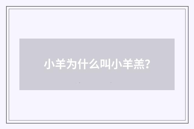 小羊为什么叫小羊羔？