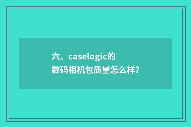 六、caselogic的数码相机包质量怎么样?