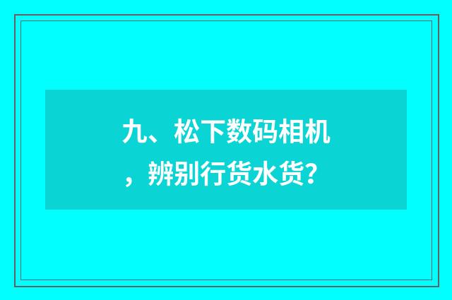 九、松下数码相机,辨别行货水货?