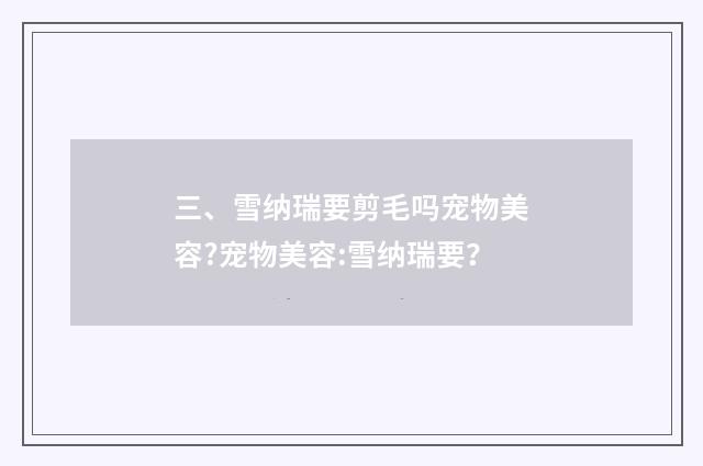 三、雪纳瑞要剪毛吗宠物美容?宠物美容:雪纳瑞要?