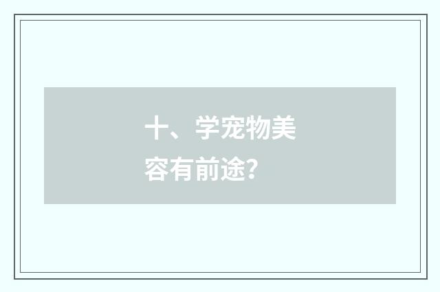 十、学宠物美容有前途？