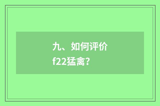 九、如何评价f22猛禽？