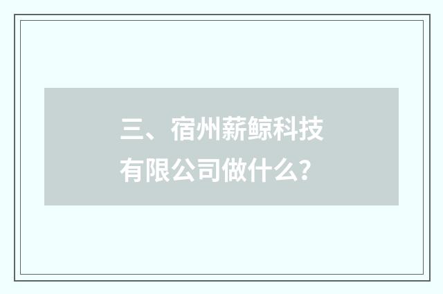 三、宿州薪鲸科技有限公司做什么?