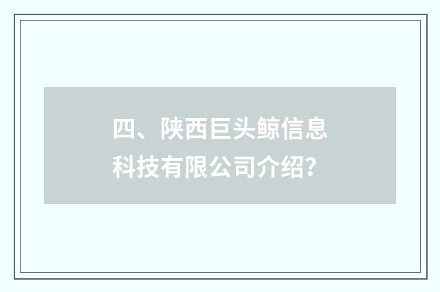 四、陕西巨头鲸信息科技有限公司介绍？