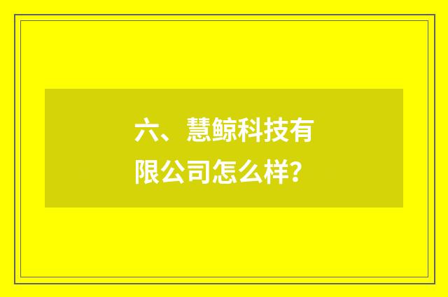 六、慧鲸科技有限公司怎么样?