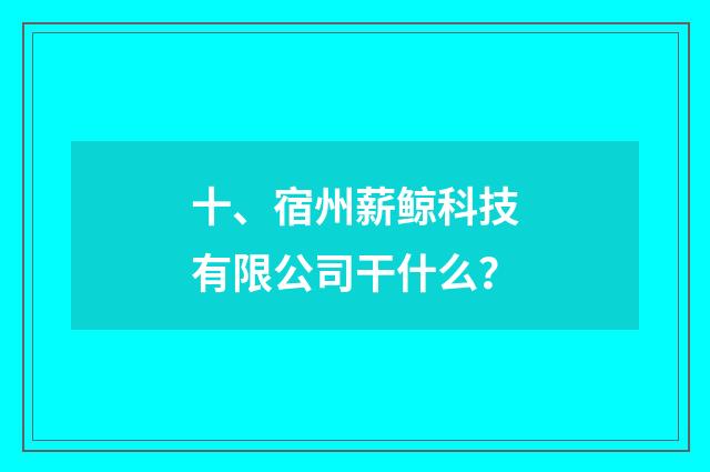 十、宿州薪鲸科技有限公司干什么?