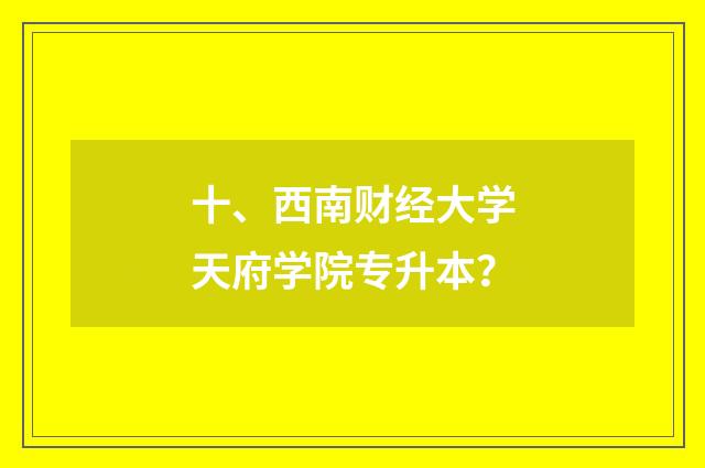 十、西南财经大学天府学院专升本?