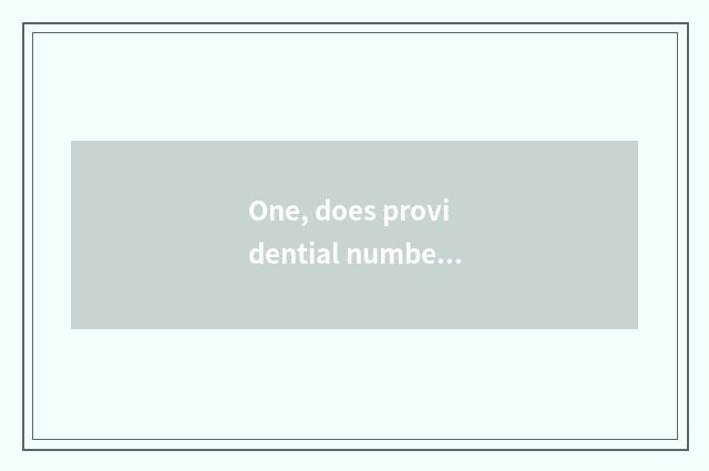 One, does providential number camera maintain central reputation?