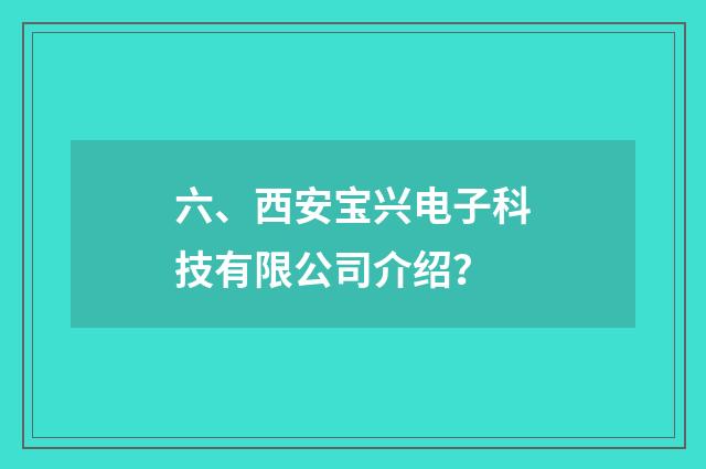六、西安宝兴电子科技有限公司介绍?