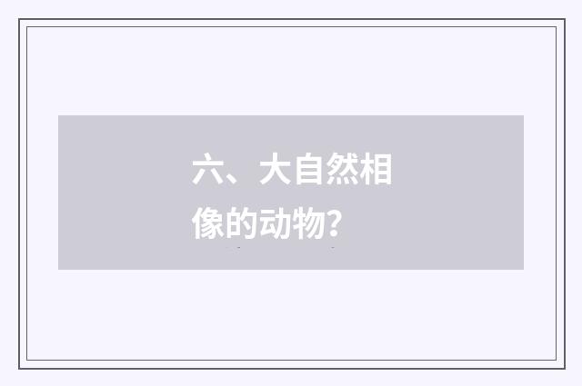 六、大自然相像的动物?