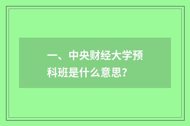 一、中央财经大学预科班是什么意思?