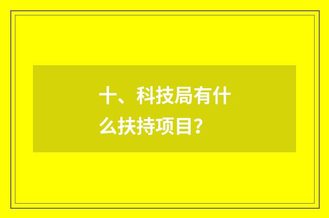 十、科技局有什么扶持项目?