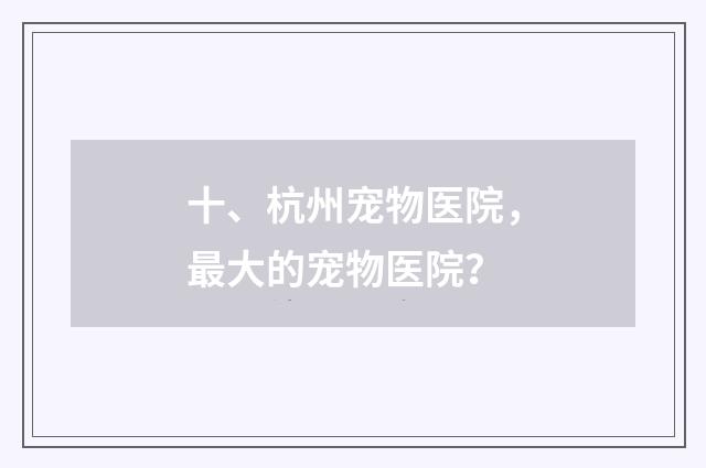 十、杭州宠物医院，最大的宠物医院？